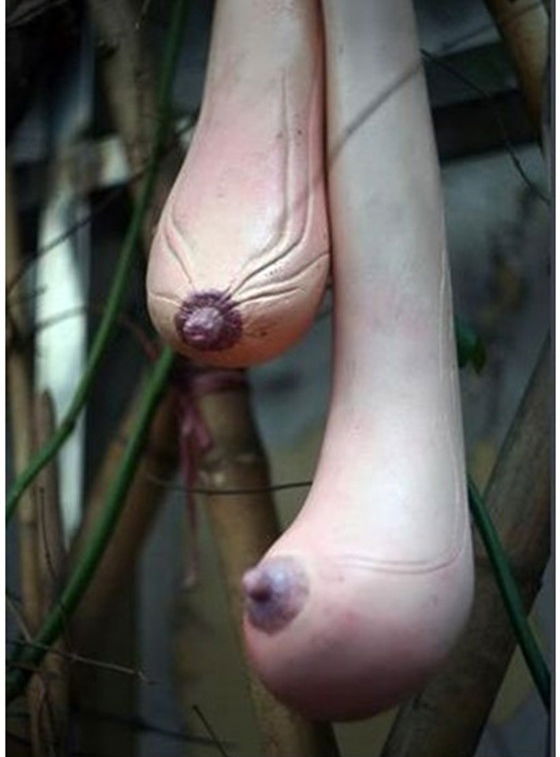 La zucca mammella article-post