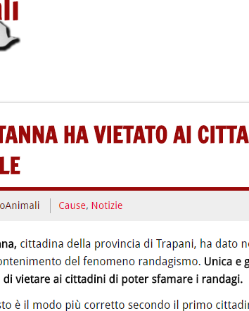 Sfamare i cani randagi è illegale?