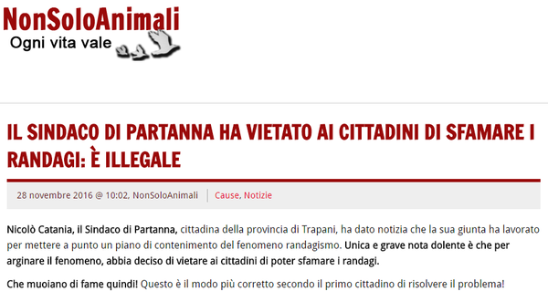 Sfamare i cani randagi è illegale?