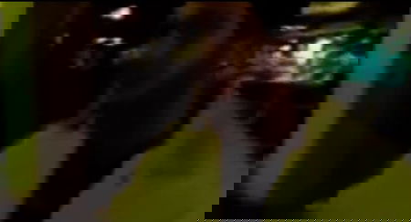 Migrante stupra ragazza e si vanta article-post