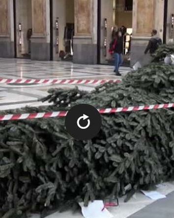 L’albero di Natale vandalizzato a Napoli