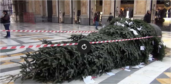 L’albero di Natale vandalizzato a Napoli