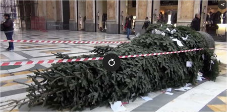 L’albero di Natale vandalizzato a Napoli article-post