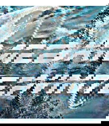 Game2 Winter, il reality che permette stupri e omicidi