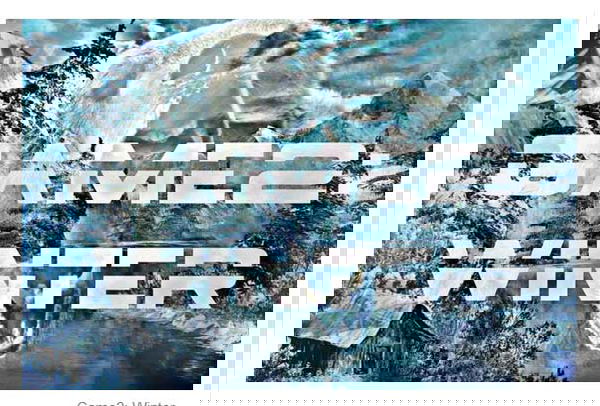 Game2 Winter, il reality che permette stupri e omicidi