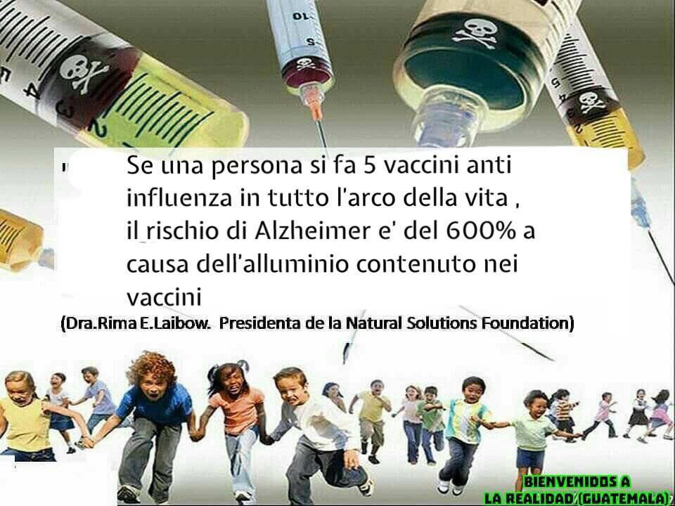 Il vaccino anti influenzale, l’alluminio e l’Alzheimer article-post
