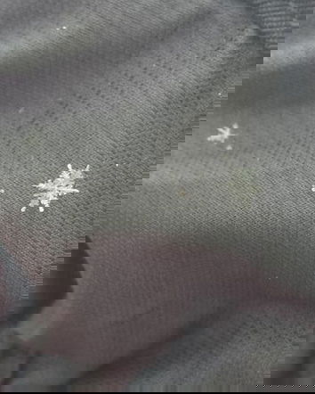 I fiocchi di neve immensi