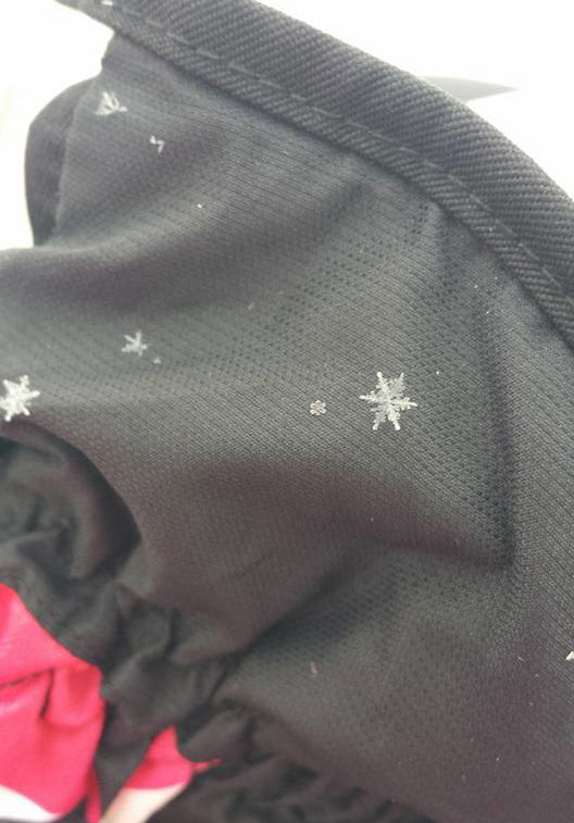 I fiocchi di neve immensi article-post