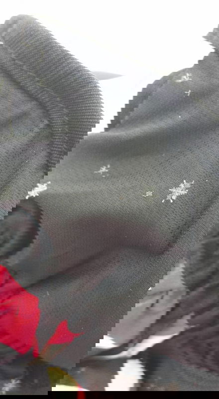 I fiocchi di neve immensi