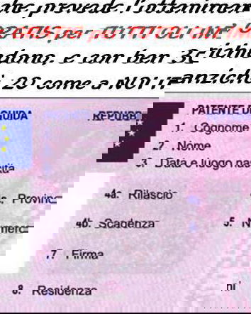 La patente e i 419 senatori