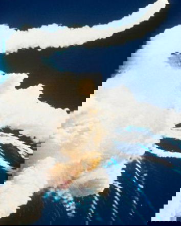 I sopravvissuti del Challenger