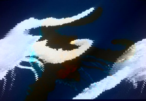 I sopravvissuti del Challenger