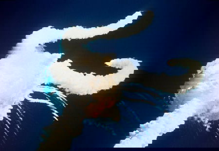 I sopravvissuti del Challenger article-post