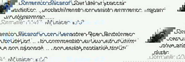 Domenico Biscardi, leone da tastiera