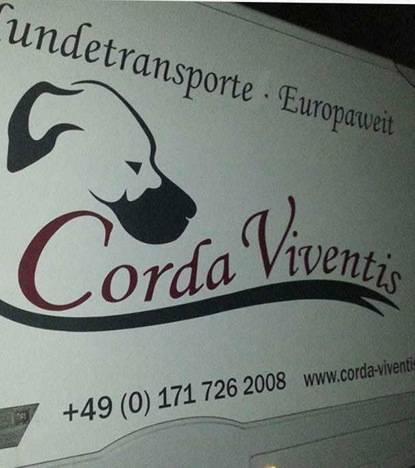 Cani pugliesi “deportati” in Germania article-post