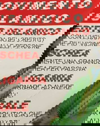 Poligamia e Movimento islamico