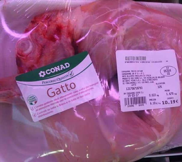 Il Gatto al Conad article-post