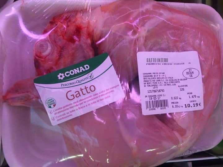 Il Gatto al Conad article-post