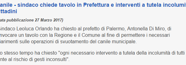 Il canile di Palermo: confusione all’italiana article-post