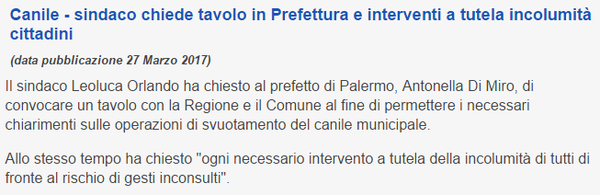 Il canile di Palermo: confusione all’italiana