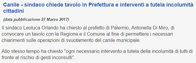 Il canile di Palermo: confusione all’italiana article-post