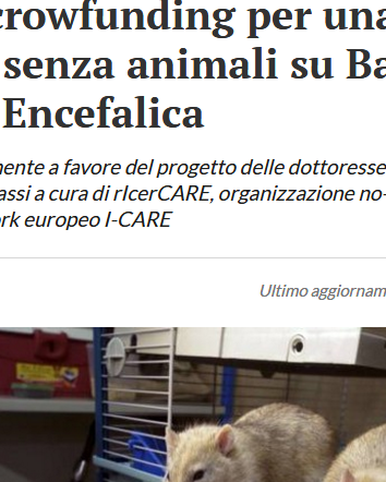 La sperimentazione, l’etica e gli animali