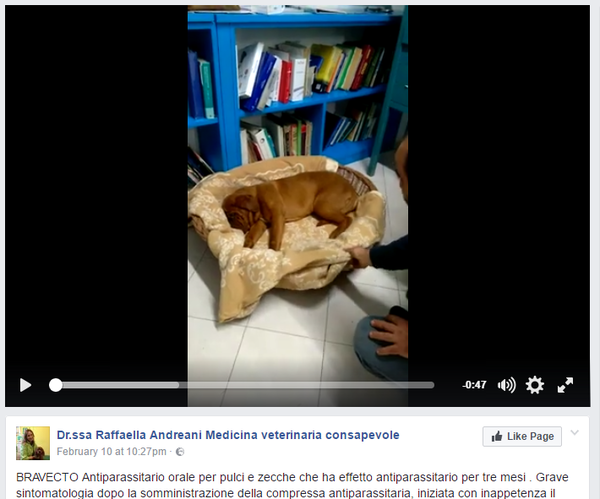 L’antiparassitario Bravecto uccide i cani?