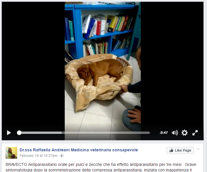 L’antiparassitario Bravecto uccide i cani? article-post