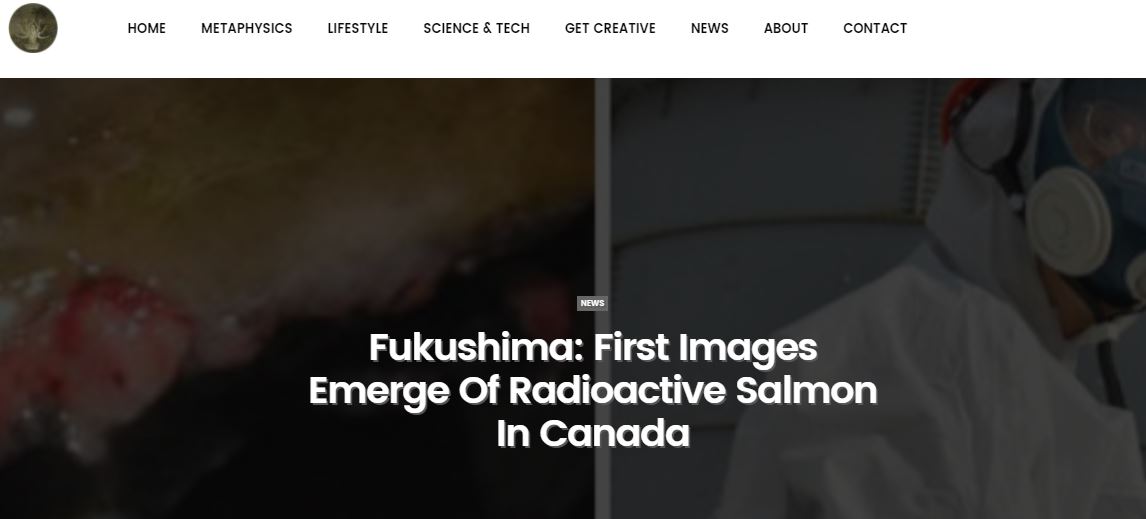 article-post