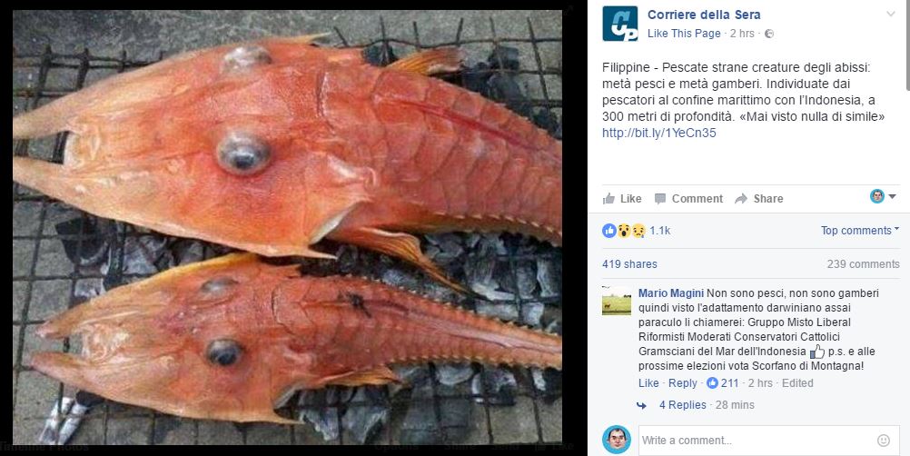 Creature misteriose? No, pesci forca article-post