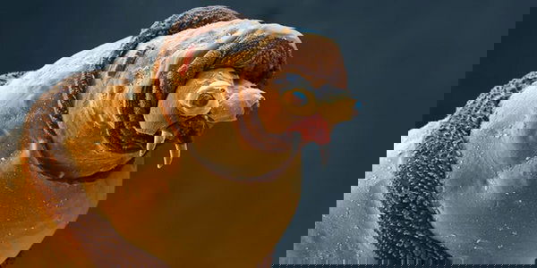 Parassiti umani e come combatterli