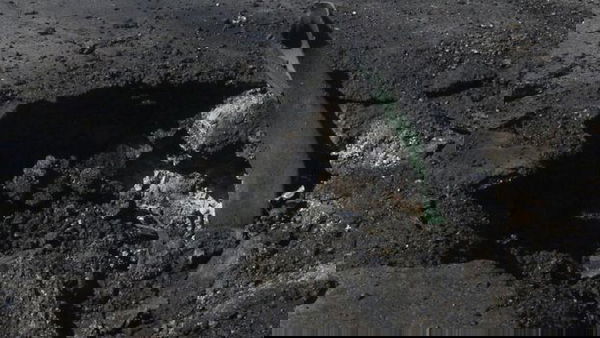 Armi chimiche, quello che si sa