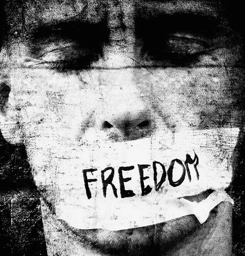 La libertà di bloggare vol.1