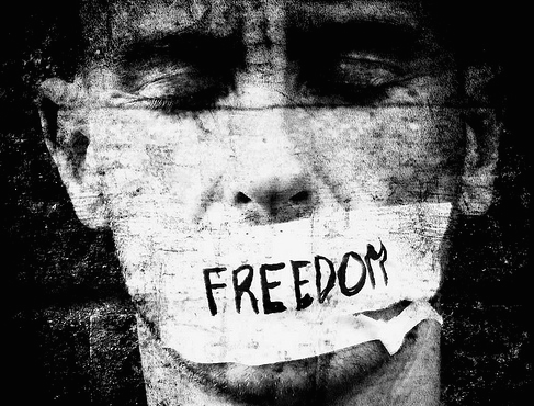 La libertà di bloggare vol.1