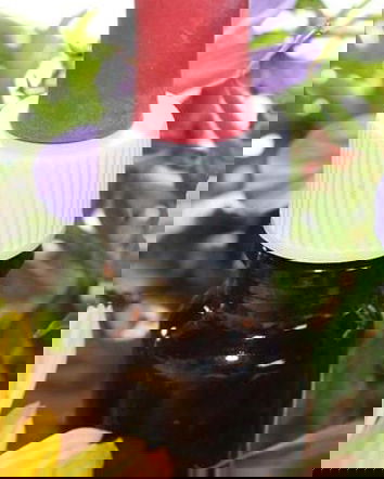 Nome Omen – Dell’Acqua e della sua memoria