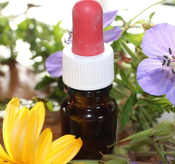 Nome Omen – Dell’Acqua e della sua memoria article-post