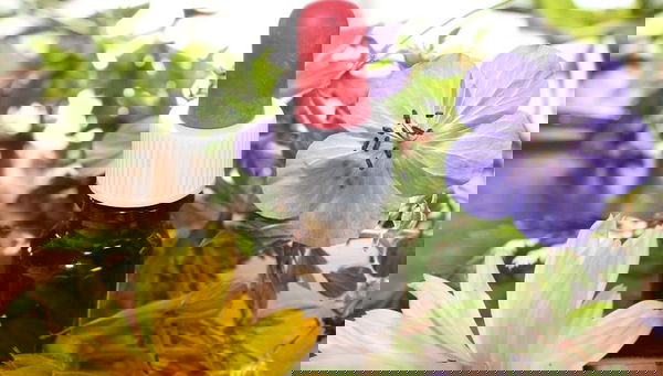 Nome Omen – Dell’Acqua e della sua memoria