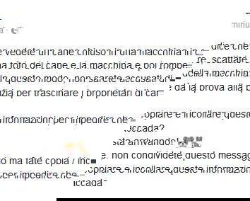 Cane chiuso in auto? Sfonda il vetro