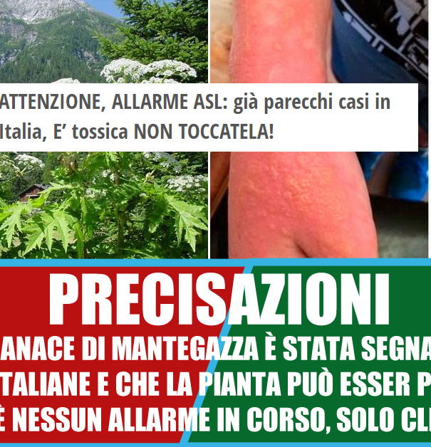 È tossica, NON TOCCATELA! article-post