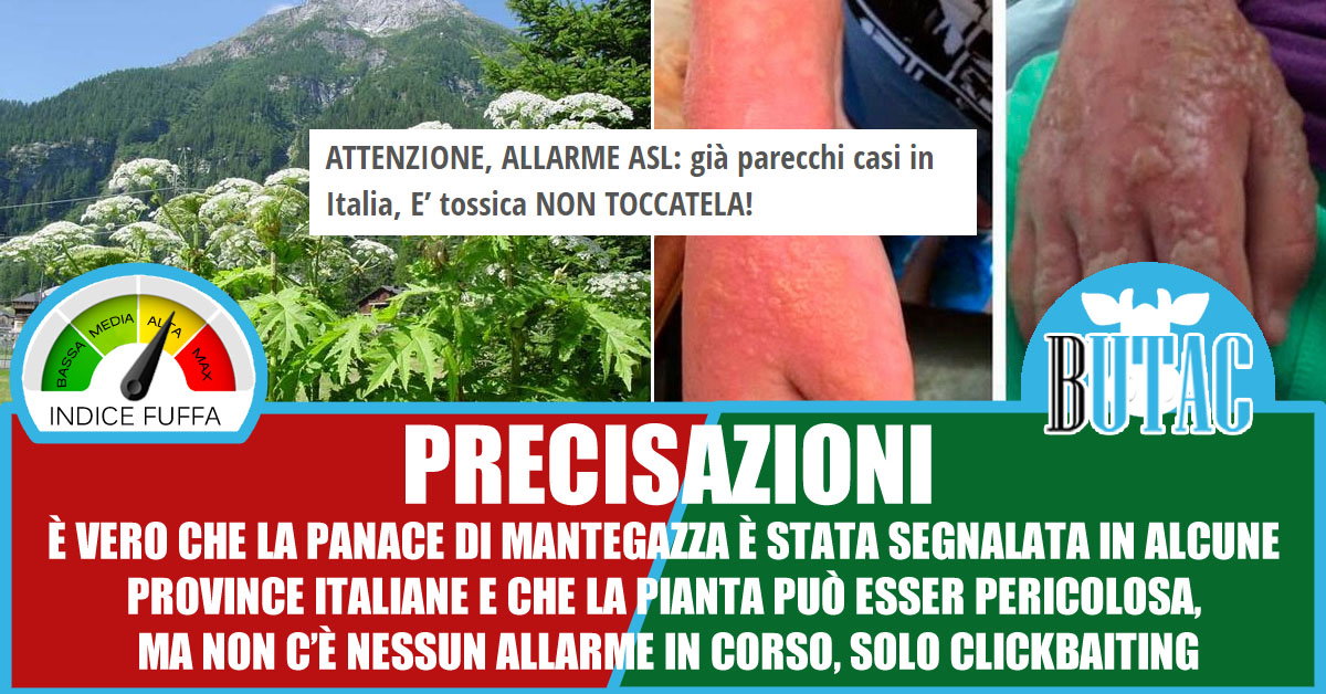 È tossica, NON TOCCATELA! article-post