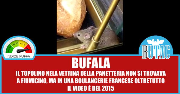 Il topo mangia baguette