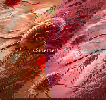 Multiterapia di Bella e giornalismo non verificato