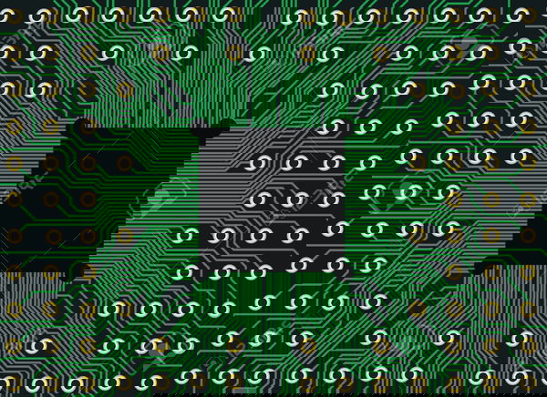 Microchip obbligatorio