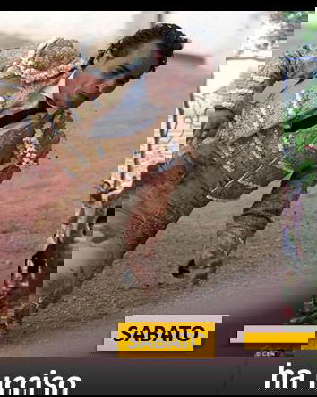 Sei un disinformatore se…