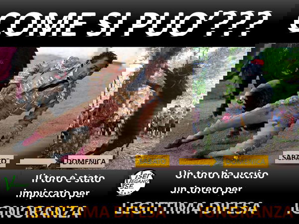 Sei un disinformatore se…