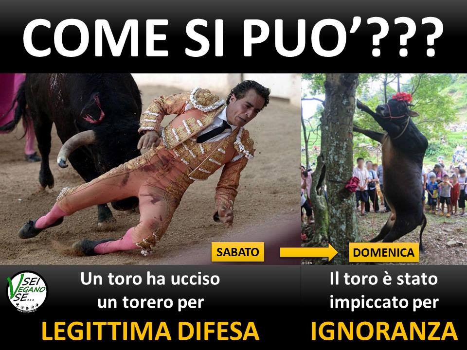 Sei un disinformatore se… article-post