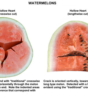 Estate tempo di angurie, con la crepa