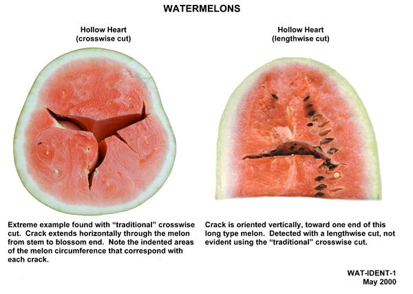 Estate tempo di angurie, con la crepa article-post