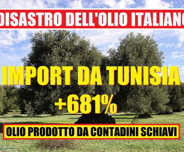 Olio tunisino: come è andata a finire? article-post
