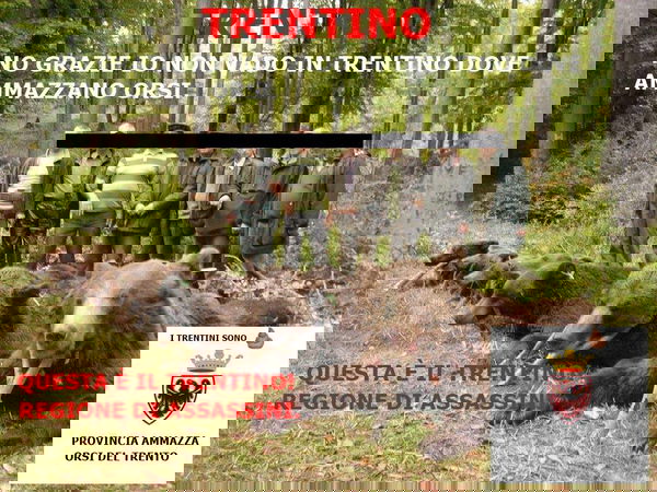 Caccia all’orso e boicotta il Trentino!